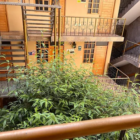 Hostal Cactus-3