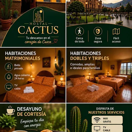 Hostal Cactus-2